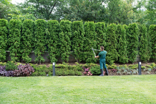 Best Tree Trimming Near Me  in Moscow, PA